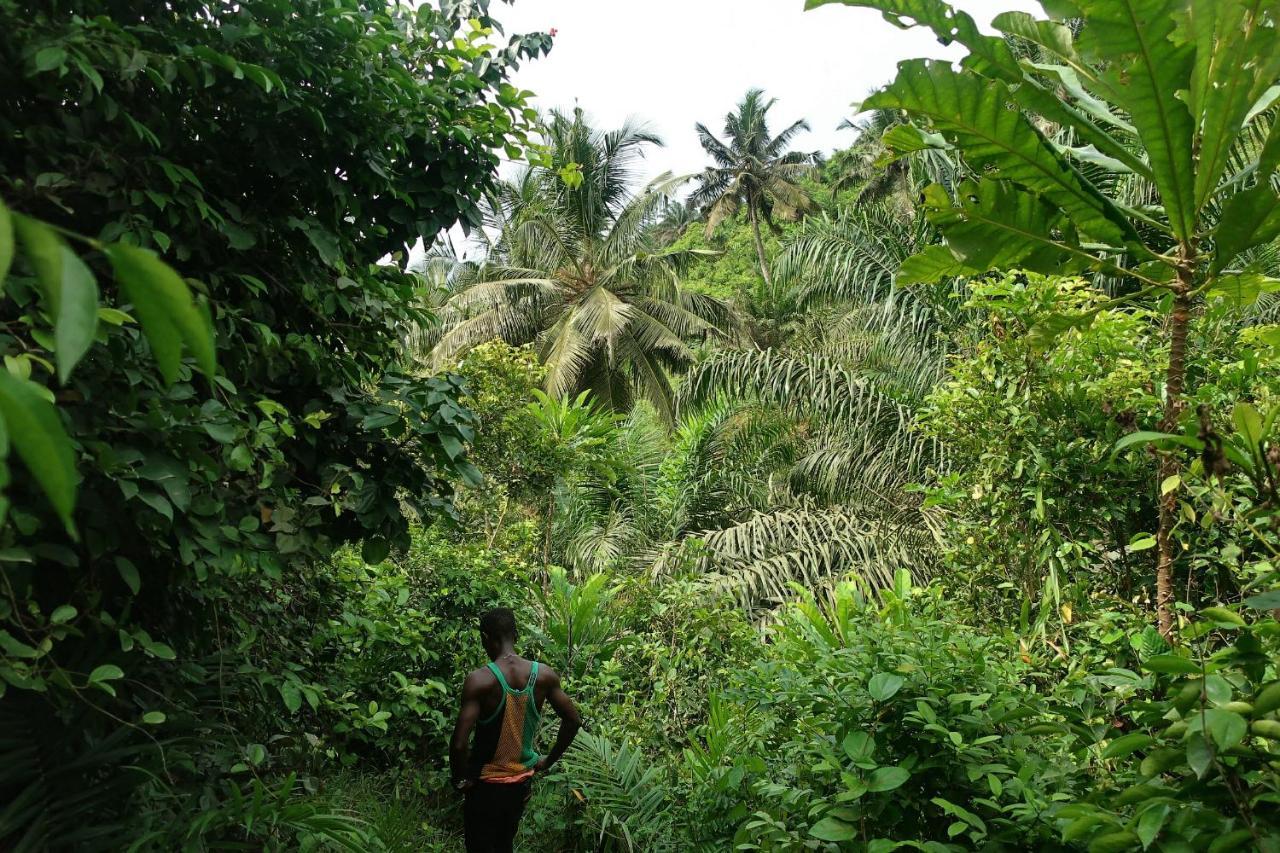 Afro Beach Eco Resort Butre Exterior foto