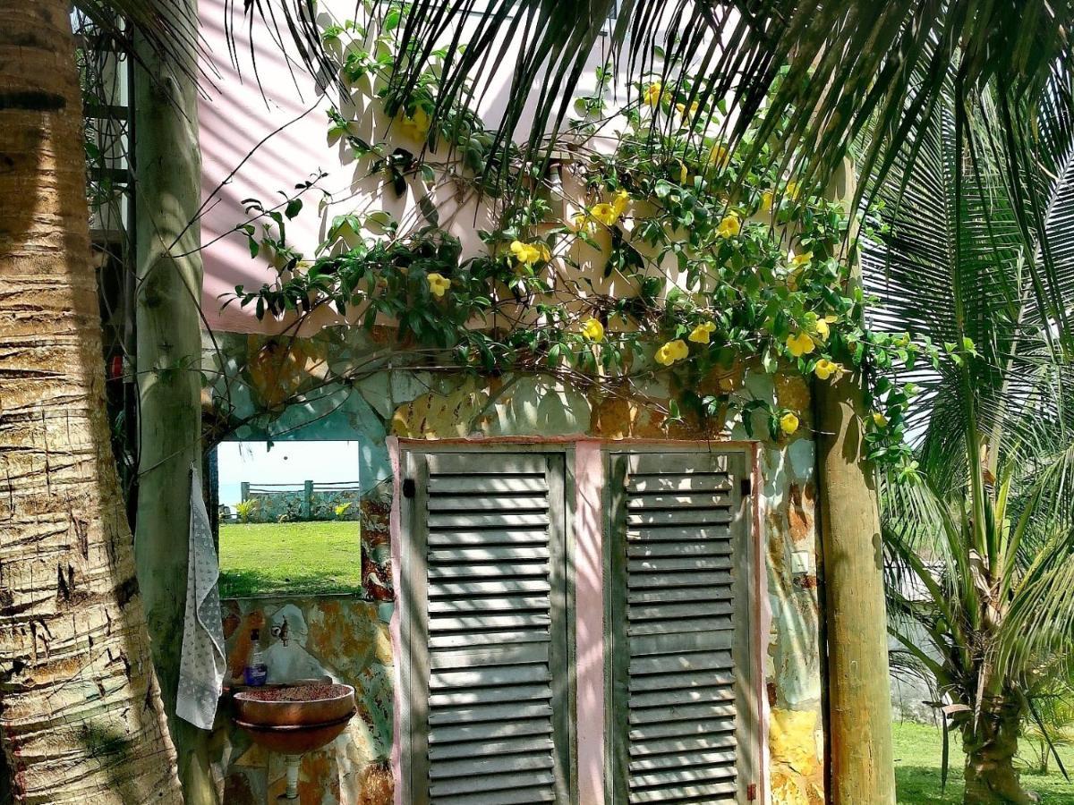 Afro Beach Eco Resort Butre Exterior foto