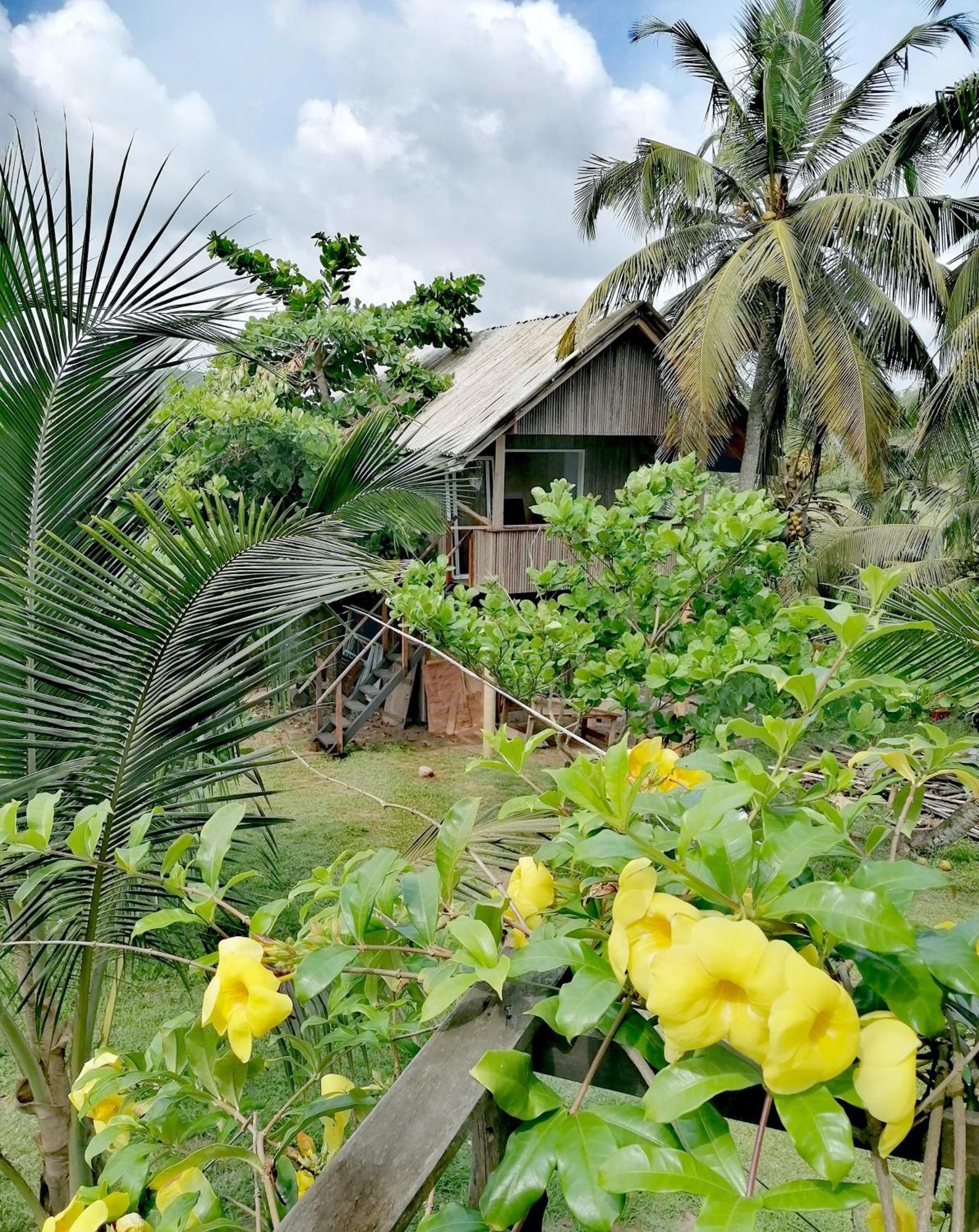 Afro Beach Eco Resort Butre Habitación foto