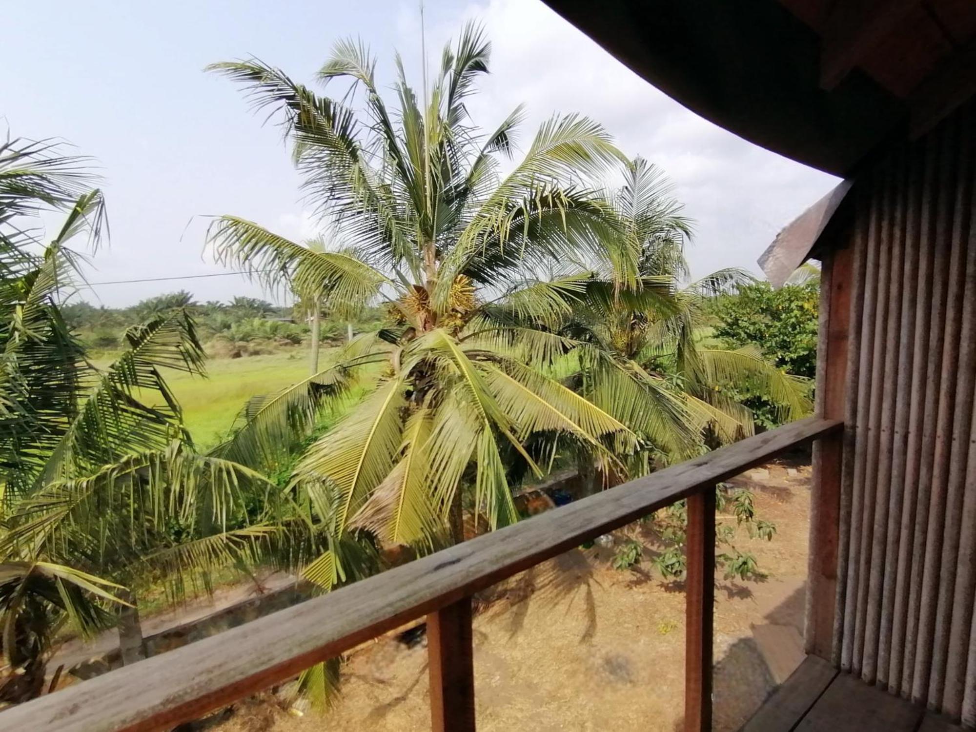 Afro Beach Eco Resort Butre Habitación foto